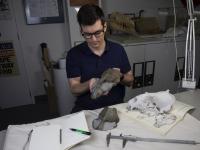 Monash University Paleontologist James Rule inspects the fossil skull of the newly identified monk seal species