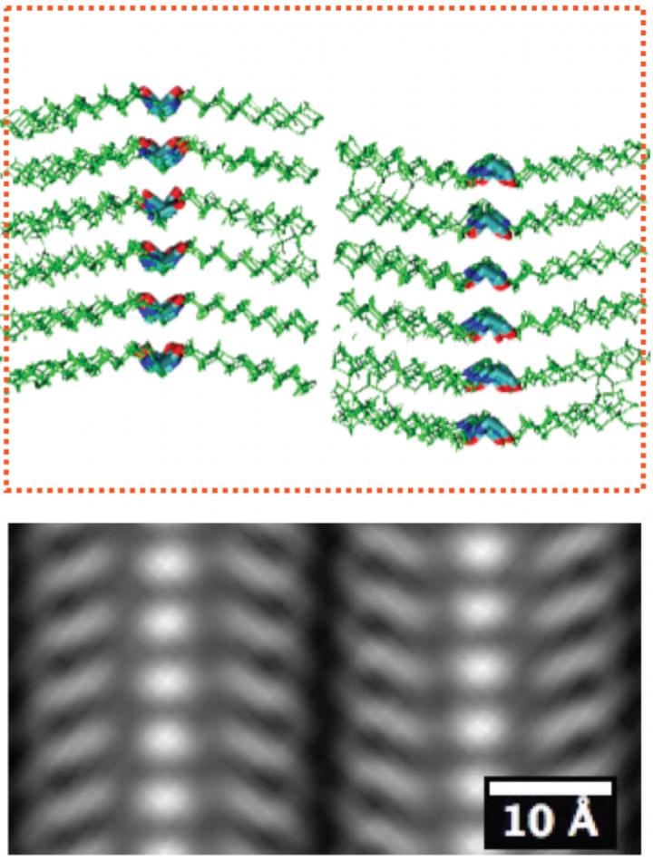 Peptoid Polymer Sample