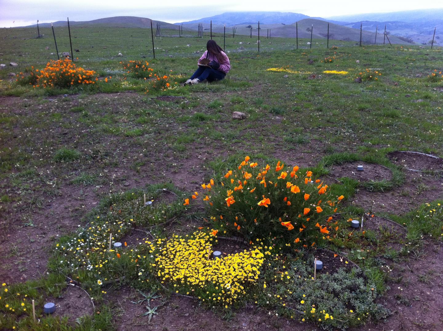Fieldwork