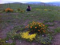 Fieldwork