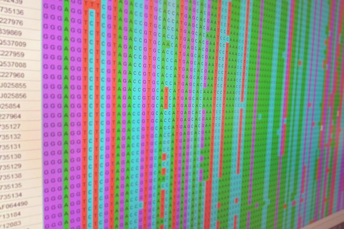 The virus's genetic information