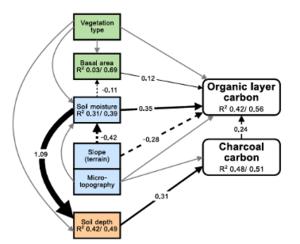 SE model showing how vegetation, hydro-topography, and soil properties shape organic and charcoal carbon stocks in Norway boreal forests.