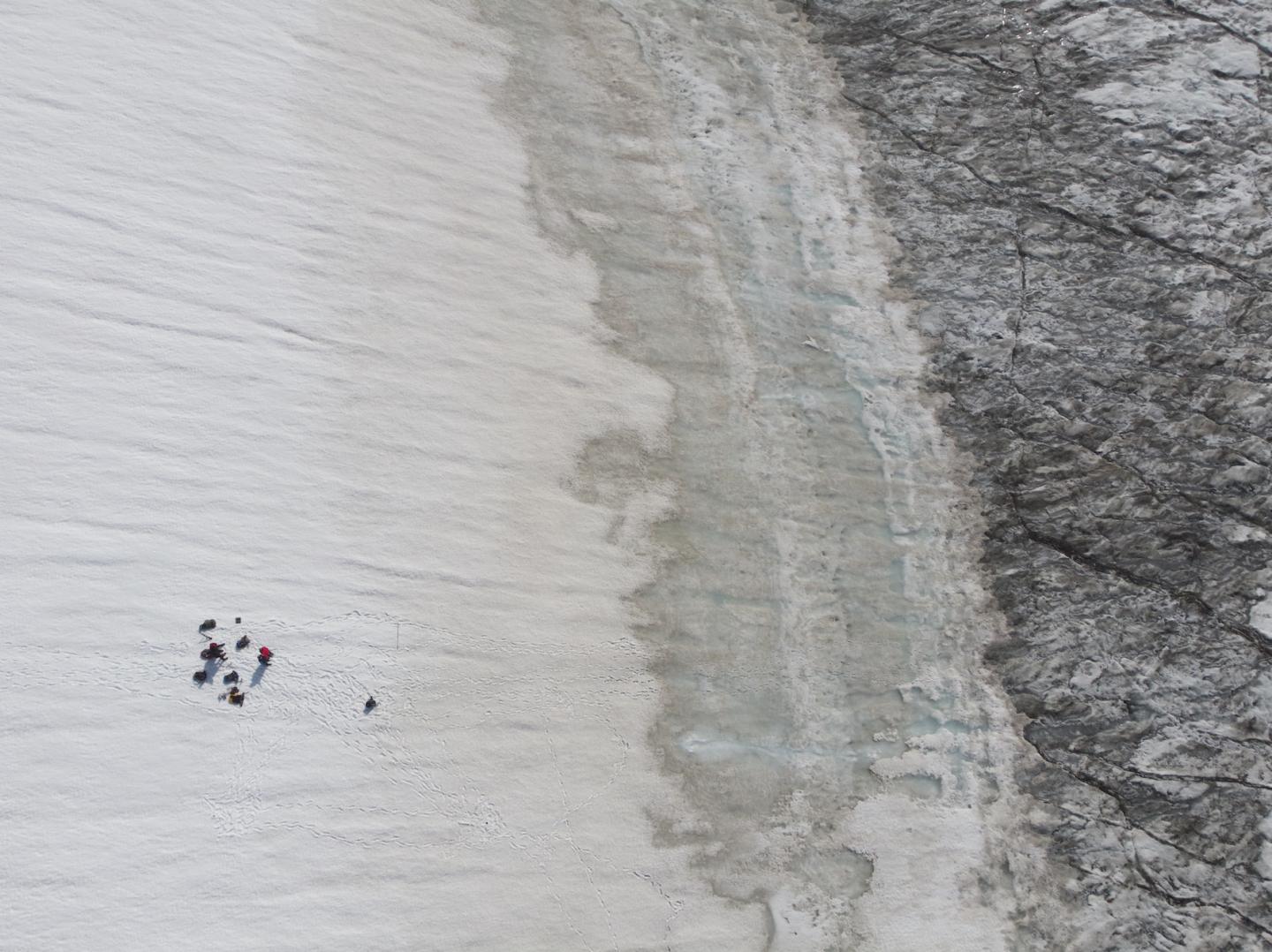Snow-Ice Transition with Blooming Algae