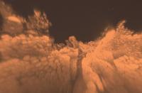 3D Visualization of Intact Intestine Tissue