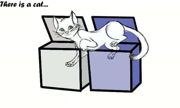 Schr&ouml;dinger's Cat Is Alive and Dead in Two Places at Once (1 of 1)