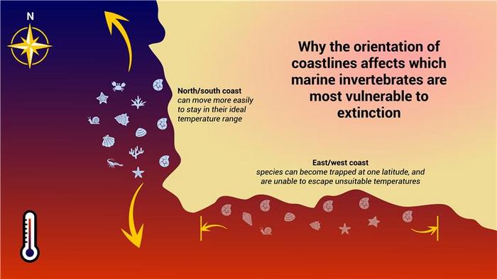 Infographic of study findings - rectangle