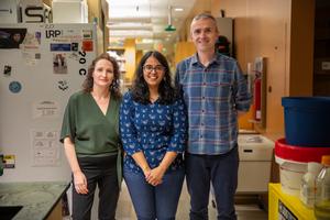 UPMC Hillman Cancer Center Researchers