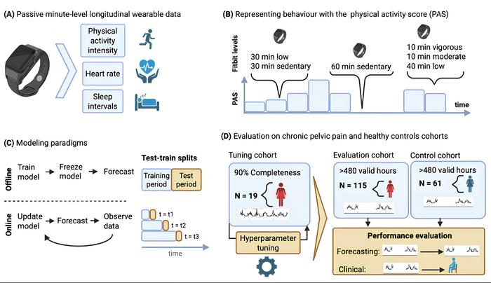 Wearable AI Forecasts Prolonged Sitting in Women With Chronic Pelvic Pain