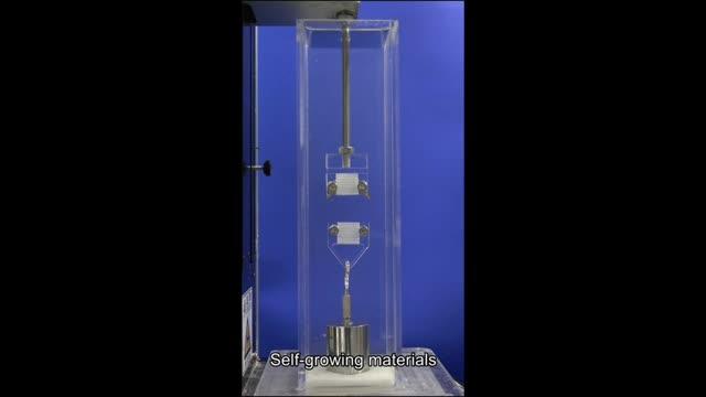 Mechanoresponsive Self-Growing Hydrogels Inspired by Muscle Training