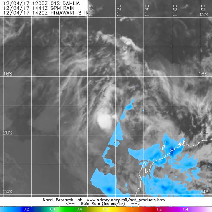 GPM image of Dahlia