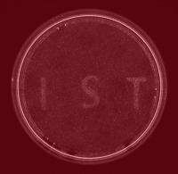 Activation of Selected Human Cells With High Spatial Precision