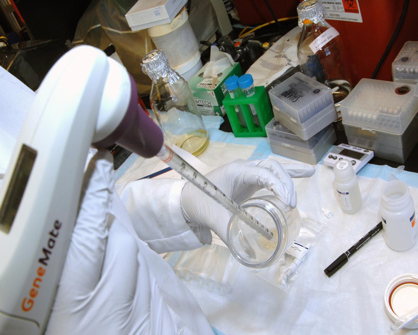 Unraveling an Epidemic