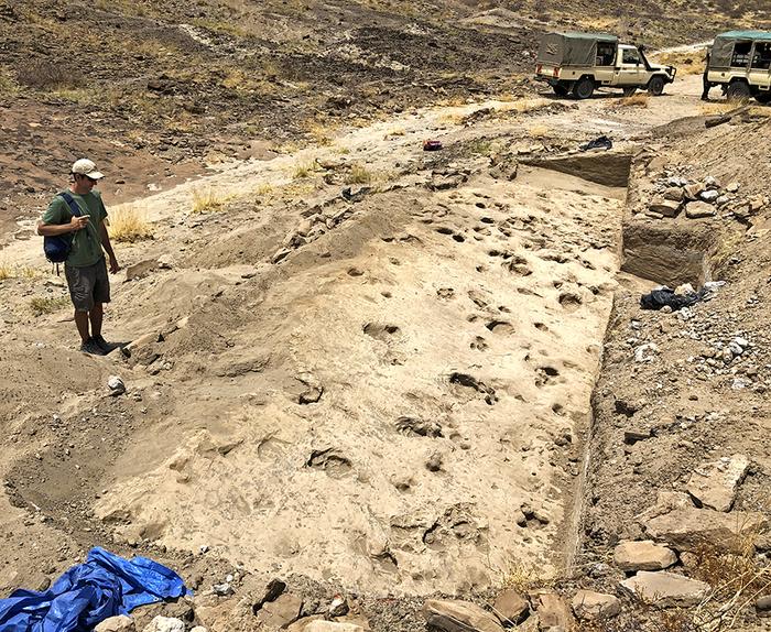 Overview of the excavated track surface