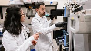 Gladstone scientists in the lab