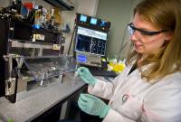 Diane Dickel, DOE/Lawrence Berkeley National Laboratory 
