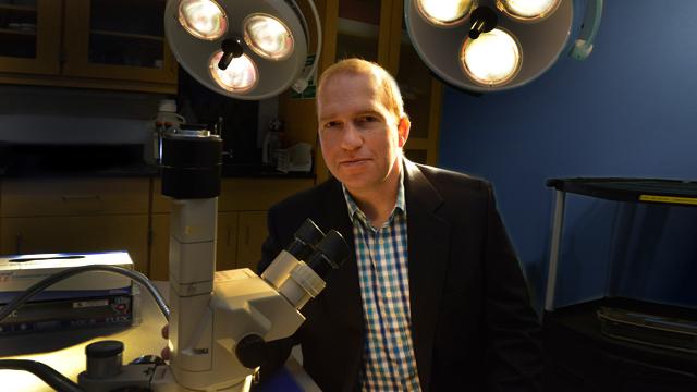 Dr. Brian Stansfield, Medical College Of Georgia At Georgia Regents University