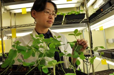 Wenbo Ma, University of California - Riverside