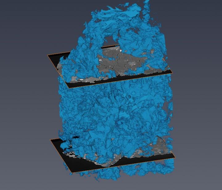 3D Slice of a Moon Rock Scan from Diamond