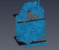 3D Slice of a Moon Rock Scan from Diamond