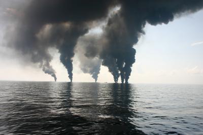 Natural Gas From Oil Spill Gave Microbes a Jump Start (2 of 7)