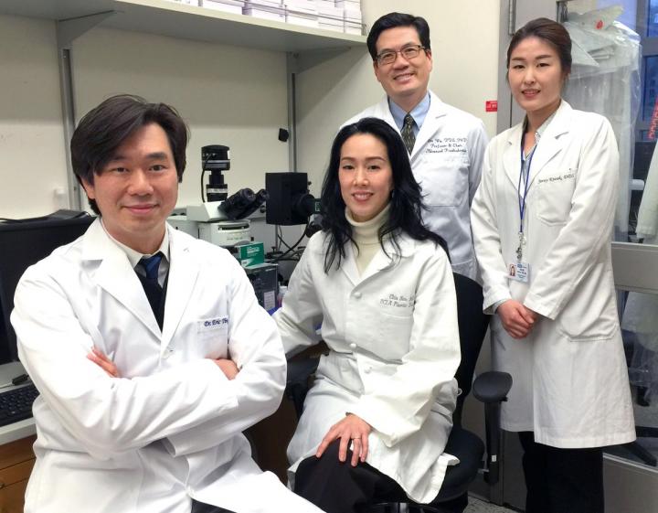 Research Team Nell-1