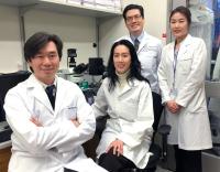 Research Team Nell-1