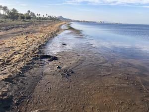 Centuries of Mining Turn the Mar Menor into a Reservoir of Toxic Metals