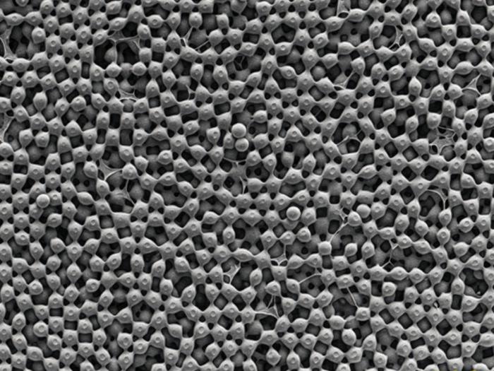 Granular Aerogel Scaffolds visual
