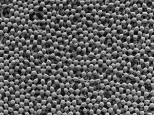 Granular Aerogel Scaffolds visual