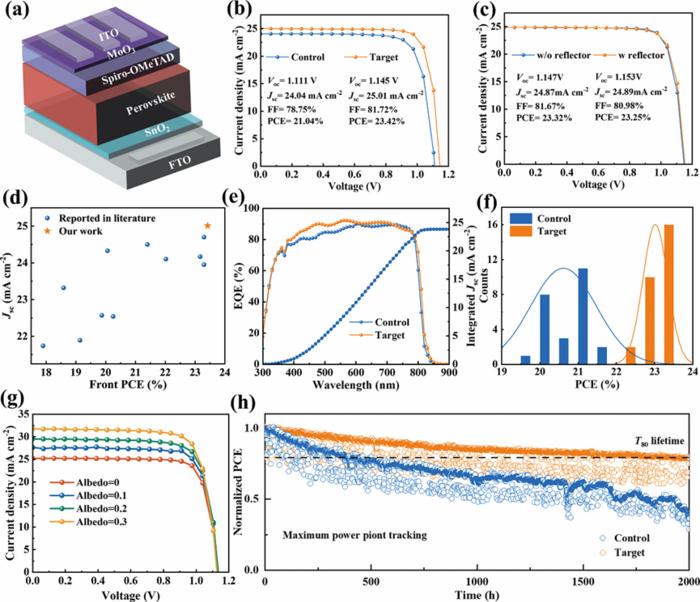 Photovoltaic performance of bifacial perovskite solar cells