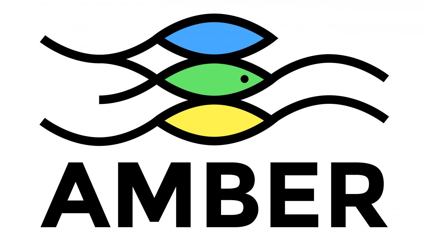 AMBER