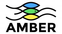 AMBER