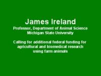 James Ireland on Large-Animal Research