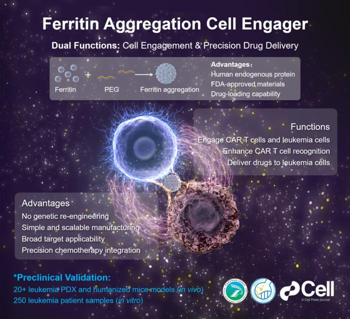 Researchers Develop a Biomimetic Platform to Enhance CAR T Cell Therapy Against Leukemia