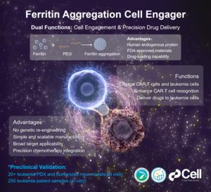 Researchers Develop a Biomimetic Platform to Enhance CAR T Cell Therapy Against Leukemia