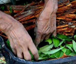 Setting, Acute Reaction and Mental Health History Shape Ayahuasca's Longer-term Psychological Effects
