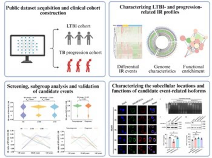 Elucidating the Functional Dynamics of DNASE1L2 Intron Retention in Tuberculosis Progression.