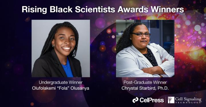 Rising Black Scientists Awards winners
