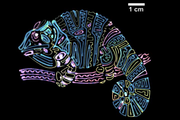 Researchers Developed Synthetic Structure-Based Color Materials for Polymer Inks Used in 3D Printing