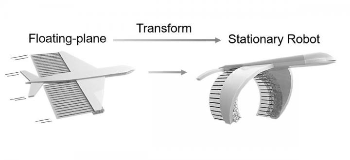 Biohybrid Robot