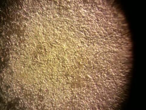 New Material Forges the Way for 'Stem Cell Factories'