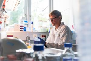 ISTA postdoctoral researcher & first author Pavel Payne