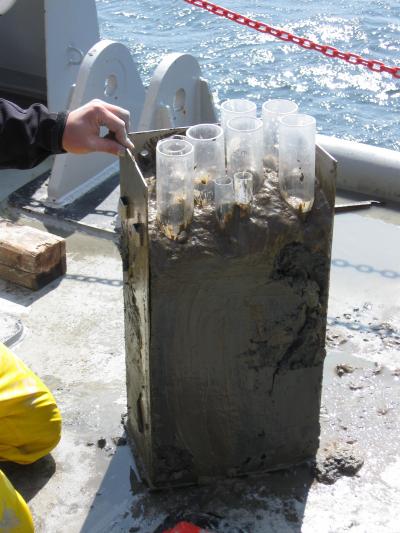 Seafloor Sample