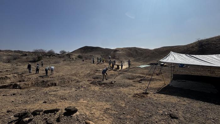 Excavations in the Afar Rift Ethiopia