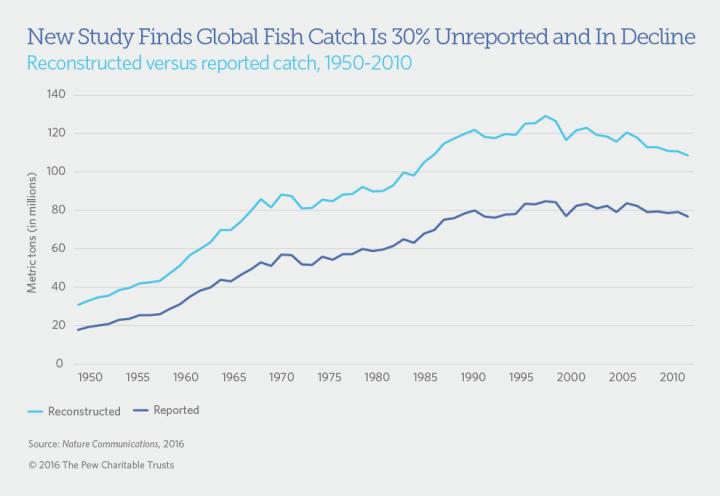 Global Fish Catch