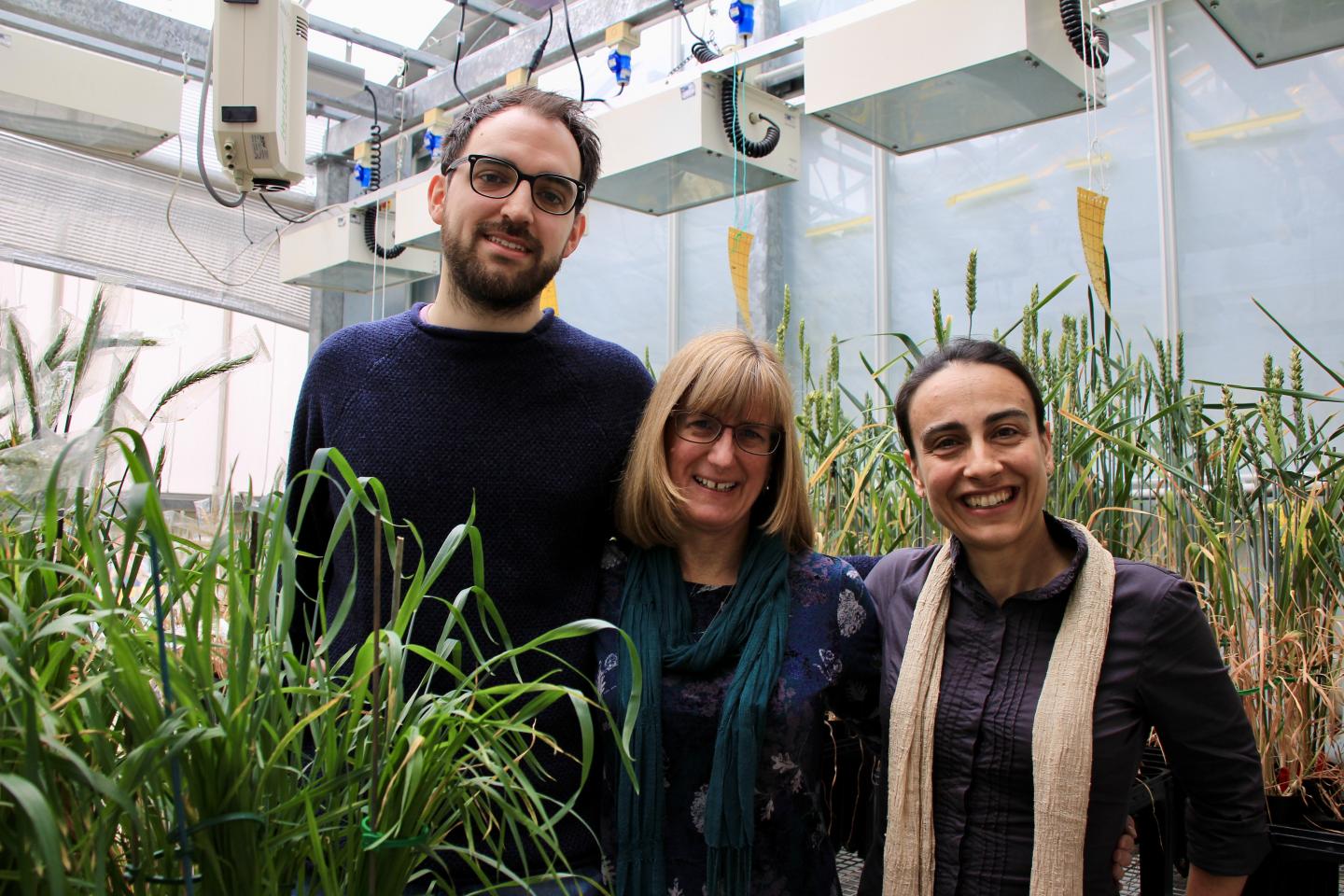 Lancaster Research Team
