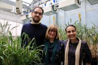 Lancaster Research Team
