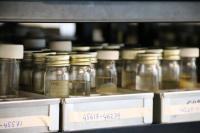 The culture collection at CABI where the microbiomes of the UK's major crops will be held and curated