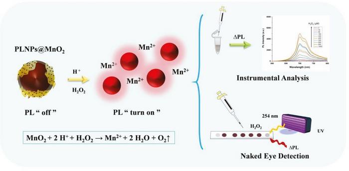 Autofluorescence-Free “Turn-On” Luminescence Strategy for H₂O₂ Detection.