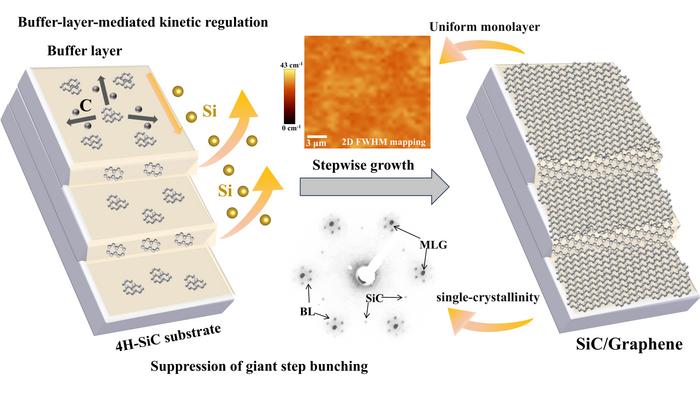 Stepwise growth of epitaxial graphene on SiC suppresses step bunching and enables dualsite nucleation.